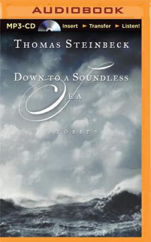 Audio Down to a Soundless Sea Thomas Steinbeck