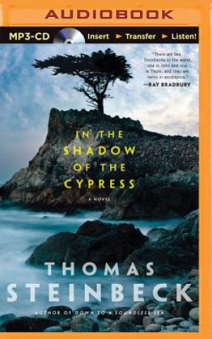 Digital In the Shadow of the Cypress Thomas Steinbeck