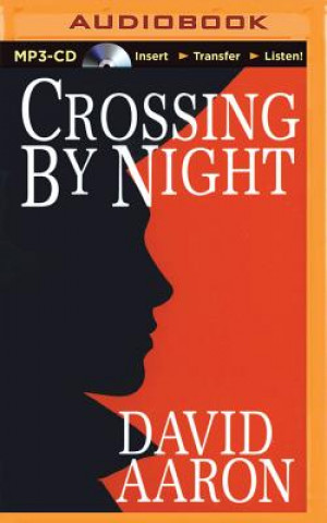 Digital Crossing by Night David Aaron