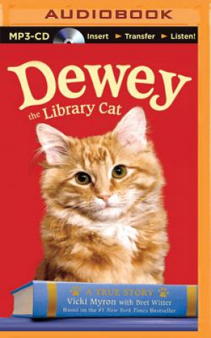 Digital Dewey the Library Cat Vicki Myron