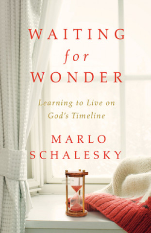 Buch Waiting for Wonder Marlo Schalesky