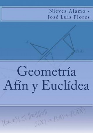 Könyv Geometria Afin y Euclidea Nieves Alamo