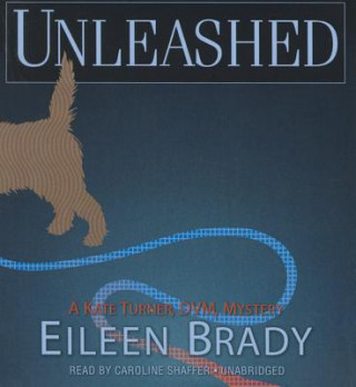 Audio Unleashed Eileen Brady