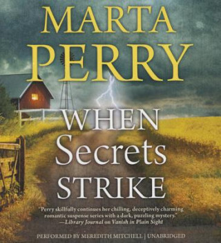 Audio When Secrets Strike Marta Perry