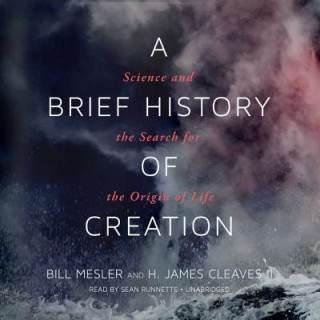 Audio A Brief History of Creation Bill Mesler