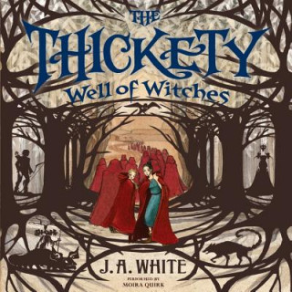 Audio Well of Witches J. A. White