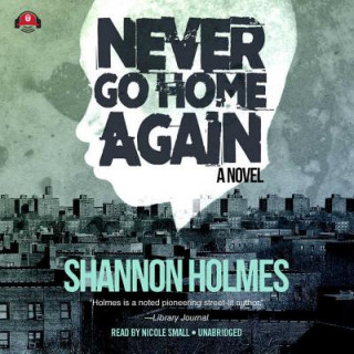 Audio Never Go Home Again Shannon Holmes
