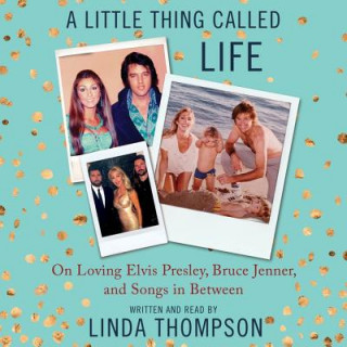 Audio A Little Thing Called Life Linda Thompson