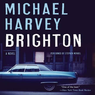 Digital Brighton Michael Harvey