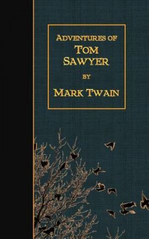 Kniha Adventures of Tom Sawyer Mark Twain