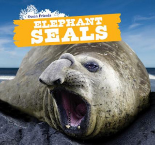 Knjiga Elephant Seals Maci Dessen