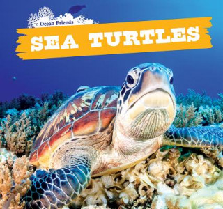 Knjiga Sea Turtles Dennis Rudenko