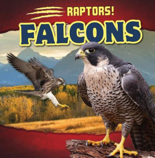 Knjiga Falcons Emily Wilson