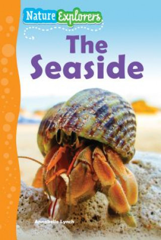 Buch The Seaside Annabelle Lynch