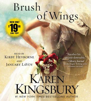 Audio A Brush of Wings Karen Kingsbury