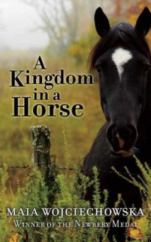 Книга A Kingdom in a Horse Maia Wojciechowska