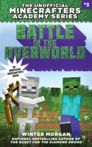 Buch Battle in the Overworld Winter Morgan