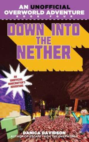 Könyv Down into the Nether Danica Davidson