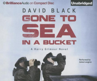 Audio Gone to Sea in a Bucket David Black