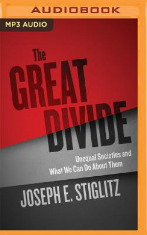 Аудио The Great Divide Joseph E. Stiglitz
