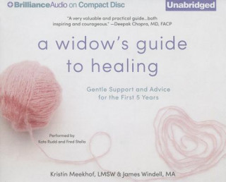 Audio A Widow's Guide to Healing Kristin Meekhof