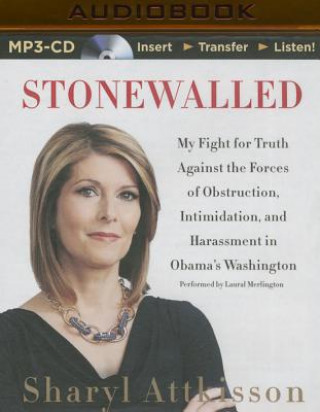 Digital Stonewalled Sharyl Attkisson