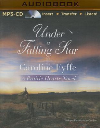 Digital Under a Falling Star Caroline Fyffe