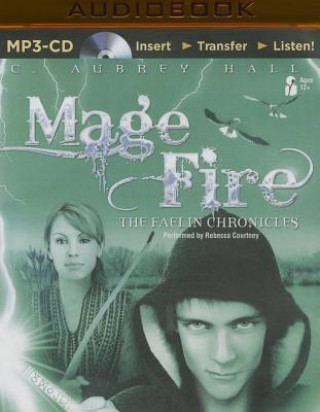 Digital Mage Fire C. Aubrey Hall