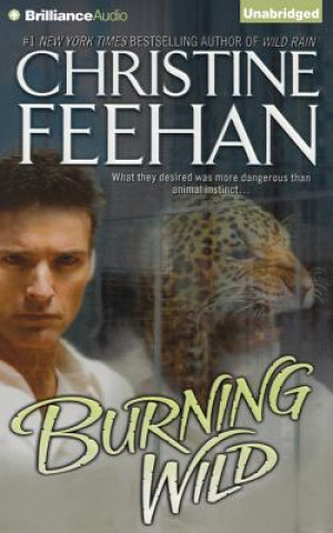 Audio Burning Wild Christine Feehan