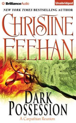 Audio Dark Possession Christine Feehan