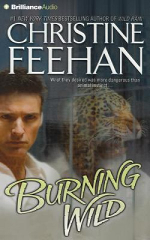 Audio Burning Wild Christine Feehan