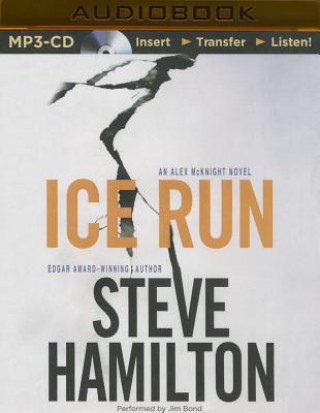 Digital Ice Run Steve Hamilton