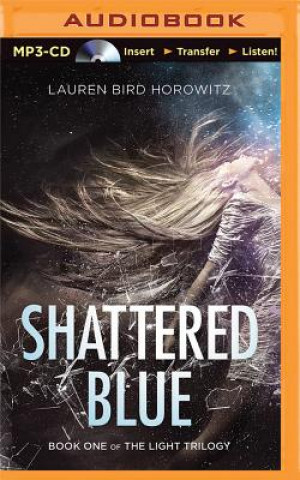 Numérique Shattered Blue Lauren Bird Horowitz