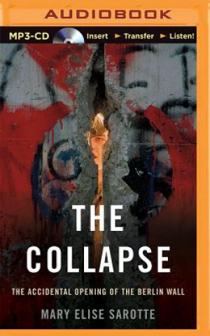 Digital The Collapse Mary Elise Sarotte