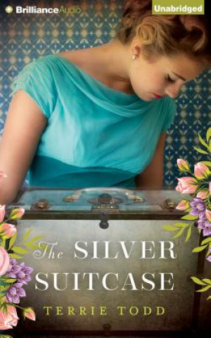 Audio The Silver Suitcase Terrie Todd