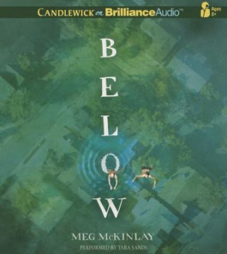 Audio Below Meg McKinlay