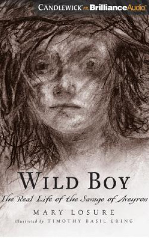 Аудио Wild Boy Mary Losure