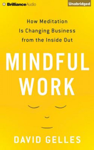 Audio Mindful Work David Gelles