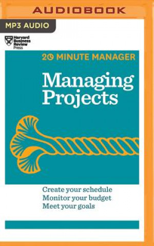 Digital Managing Projects Harvard Business Review