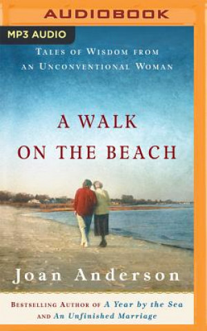 Digital A Walk on the Beach Joan Anderson