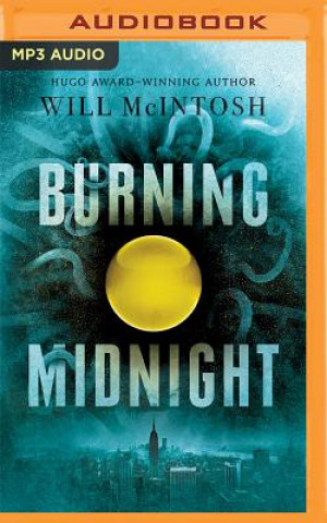 Numérique Burning Midnight Will Mcintosh