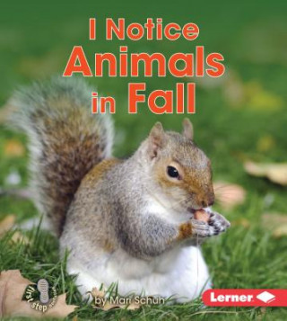 Buch I Notice Animals in Fall Mari Schuh