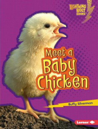 Książka Meet a Baby Chicken Buffy Silverman