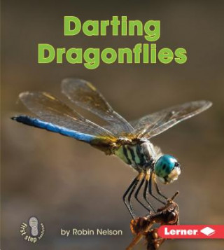 Książka Darting Dragonflies Robin Nelson