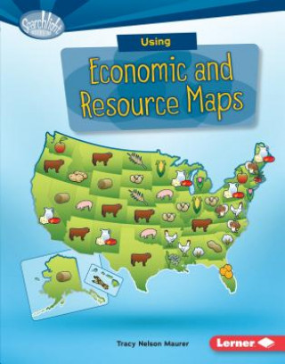 Kniha Using Economic and Resource Maps Tracy Maurer