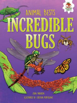 Könyv Incredible Bugs John Farndon