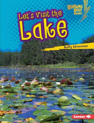 Kniha Let's Visit the Lake Buffy Silverman