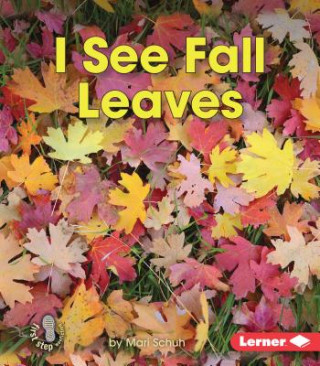 Carte I See Fall Leaves Mari Schuh