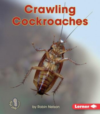 Livre Crawling Cockroaches Robin Nelson