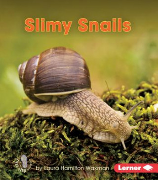 Kniha Slimy Snails Laura Waxman